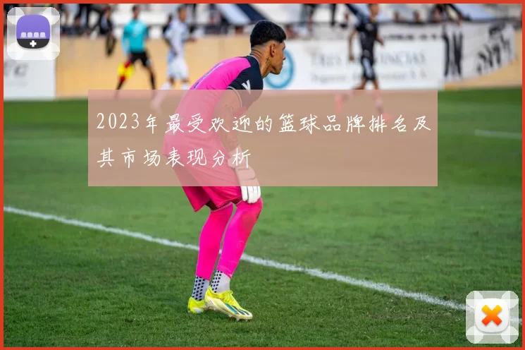 2023年最受欢迎的篮球品牌排名及其市场表现分析