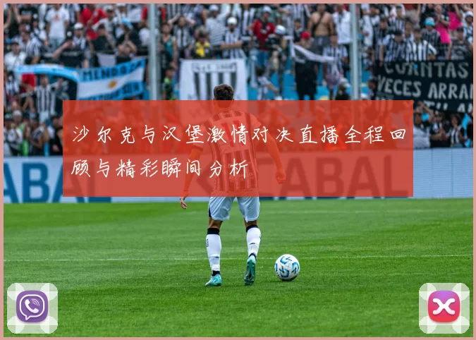 沙尔克与汉堡激情对决直播全程回顾与精彩瞬间分析